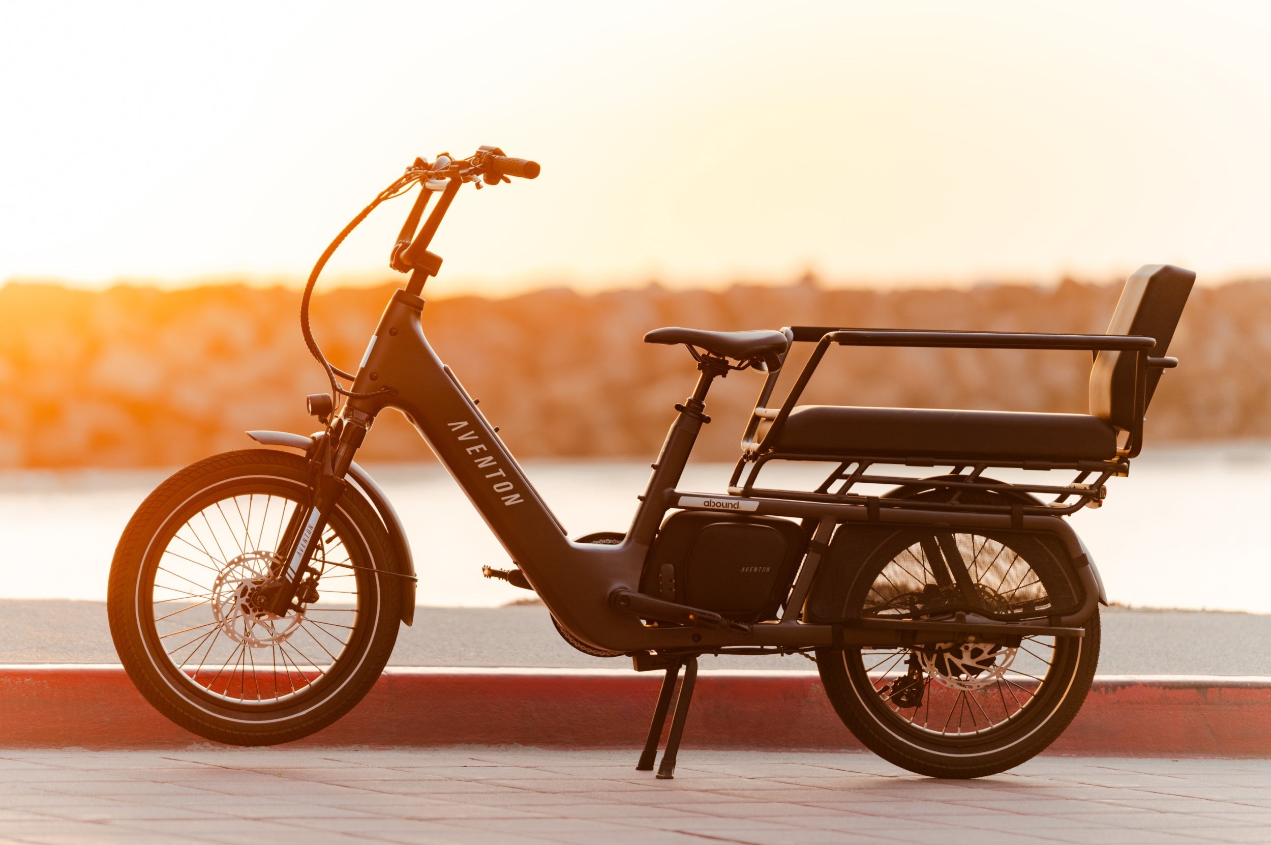 Rear Cargo E-Bikes