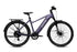 Level 3 Ebike