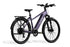 Level 3 Ebike