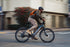 Level 3 Ebike
