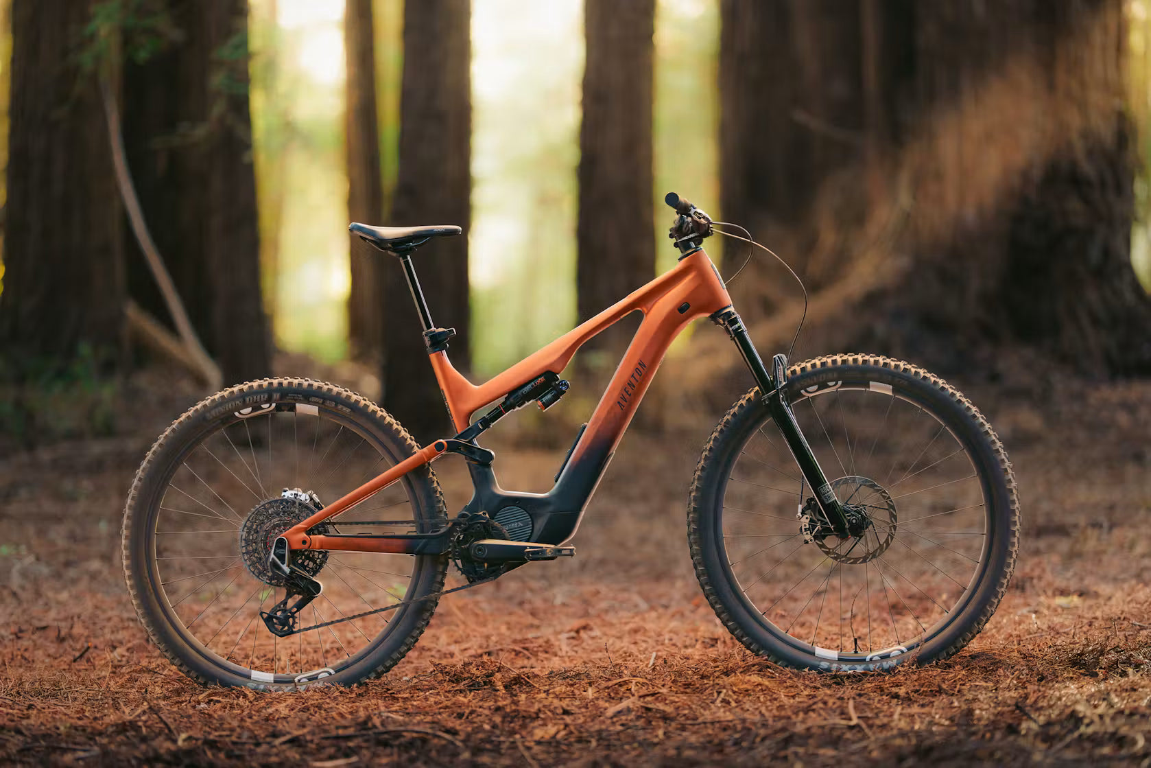 Current LTD Ebike Large Magma