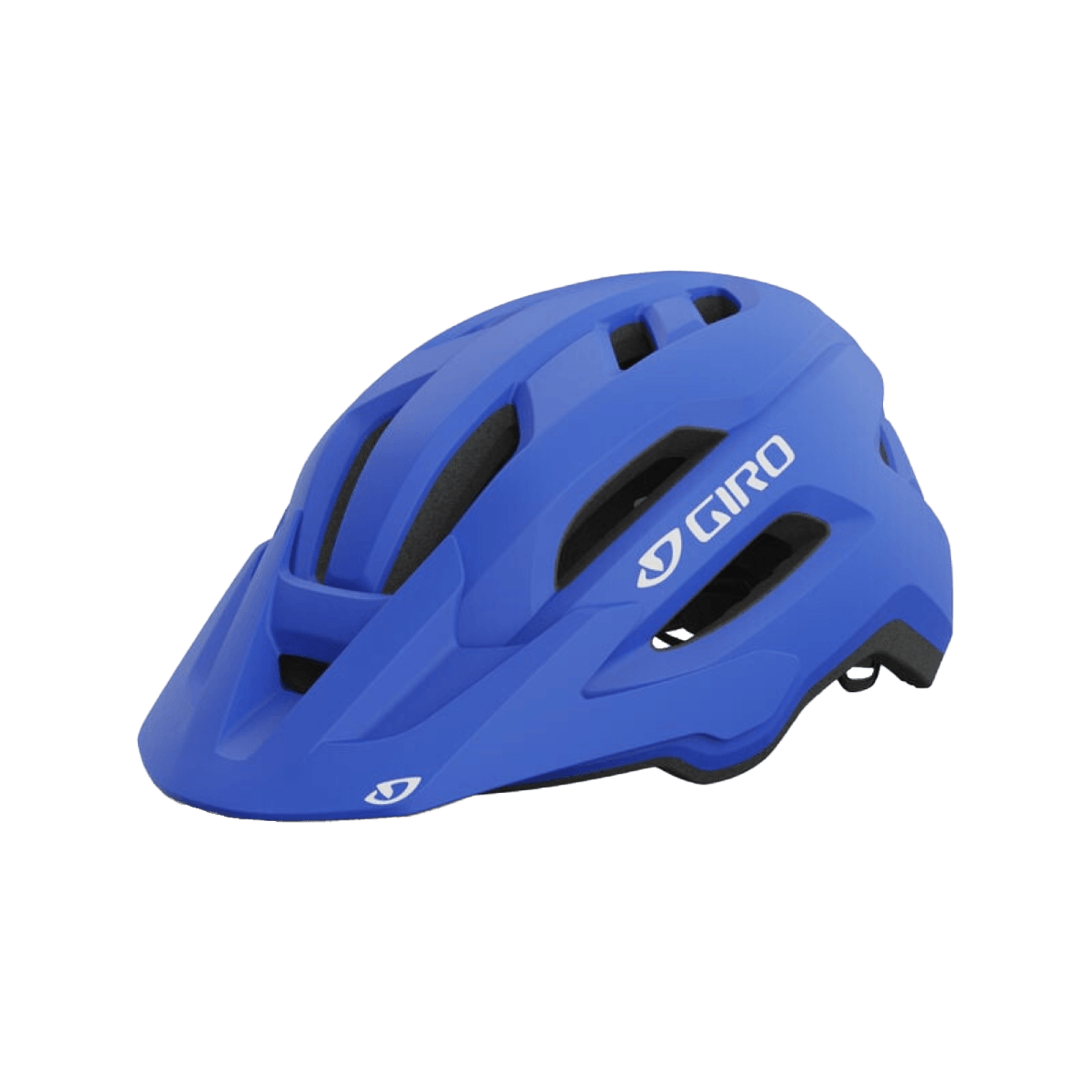 Giro Fixture Mips II Helmet