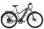 Level 2 Ebike