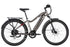 Level 2 Ebike