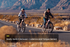 Level 3 Ebike