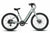 Aventon Pace 5 REC - Glacier Mint