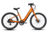 Aventon Pace 5 REC - Koi