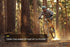 Ramblas Electric Mountain Bike