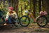 Aventure 3 Step-Through Ebike