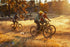 Ramblas Electric Mountain Bike