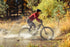 Ramblas Electric Mountain Bike
