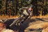 Ramblas Electric Mountain Bike